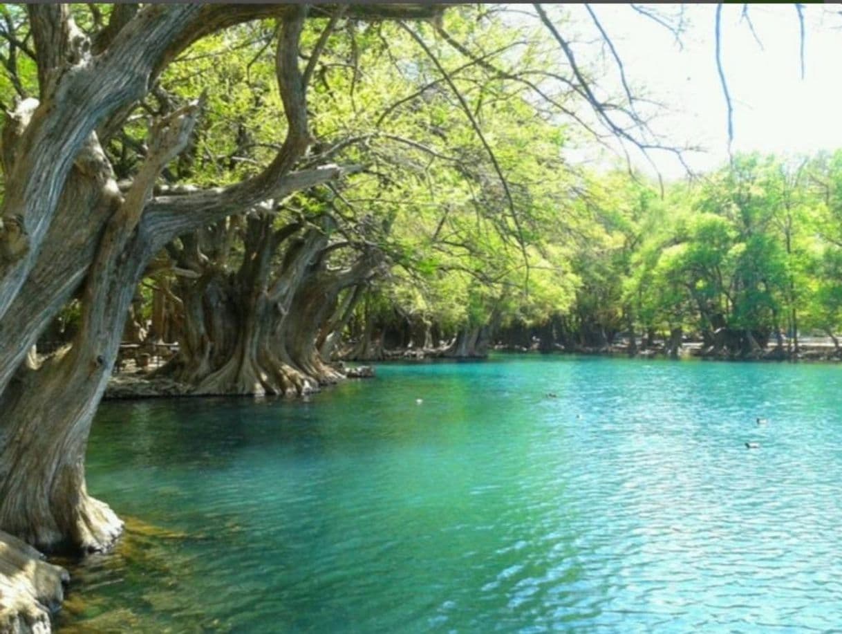 Lugar Camecuaro lake