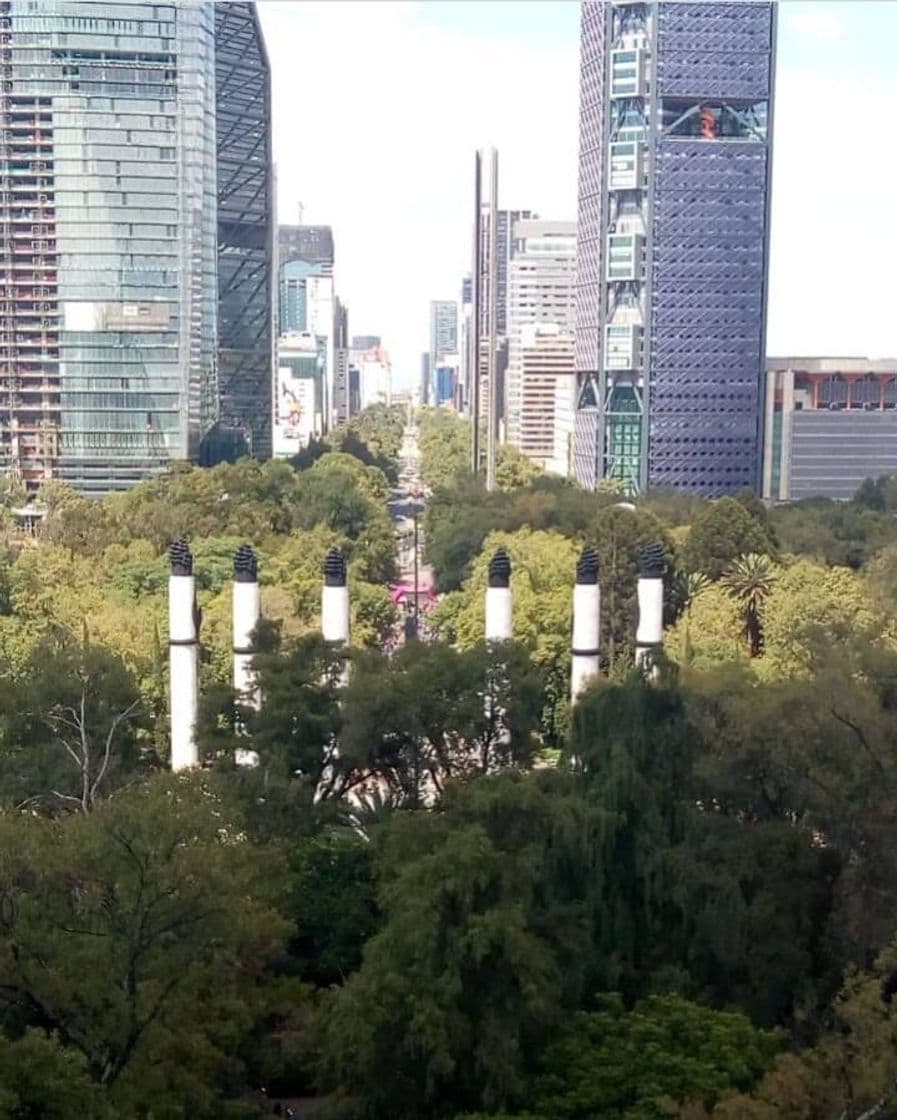 Lugar Bosque de Chapultepec