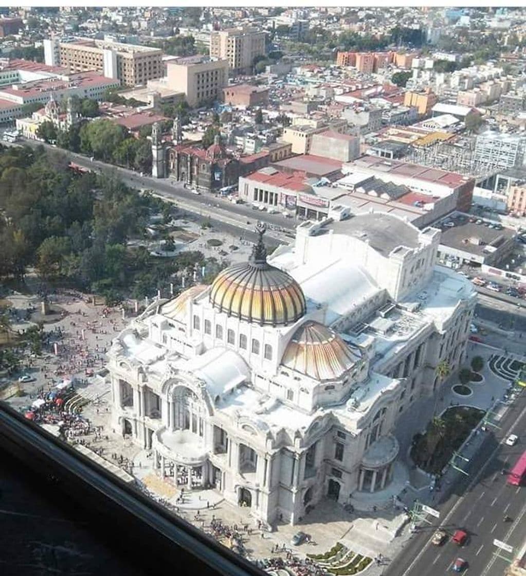 Lugar Bellas Artes