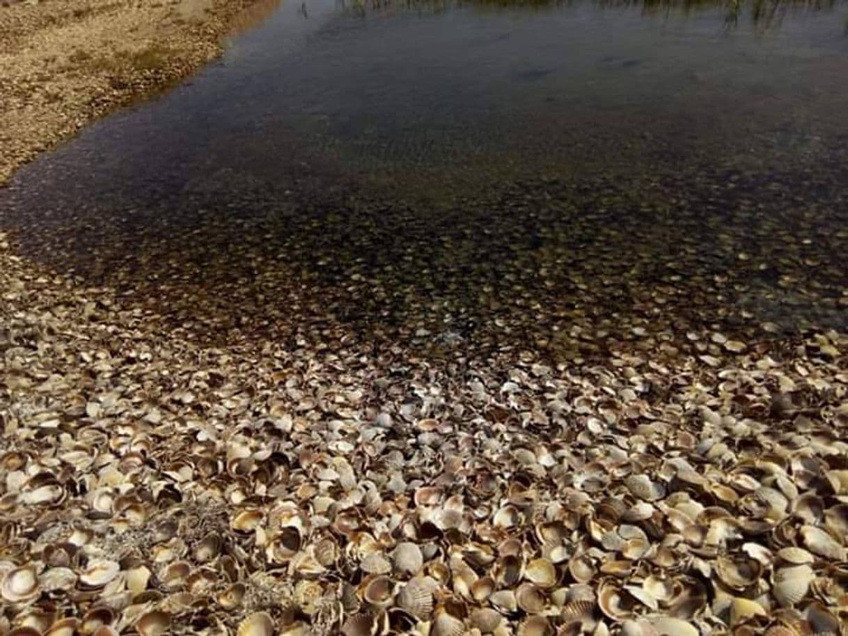 Lugar Guerrero Negro