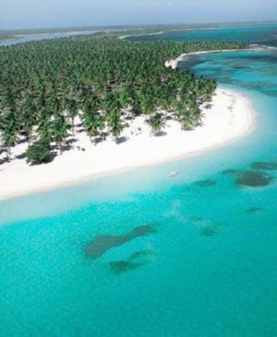 Lugar Isla Saona Bayahibe La Romana