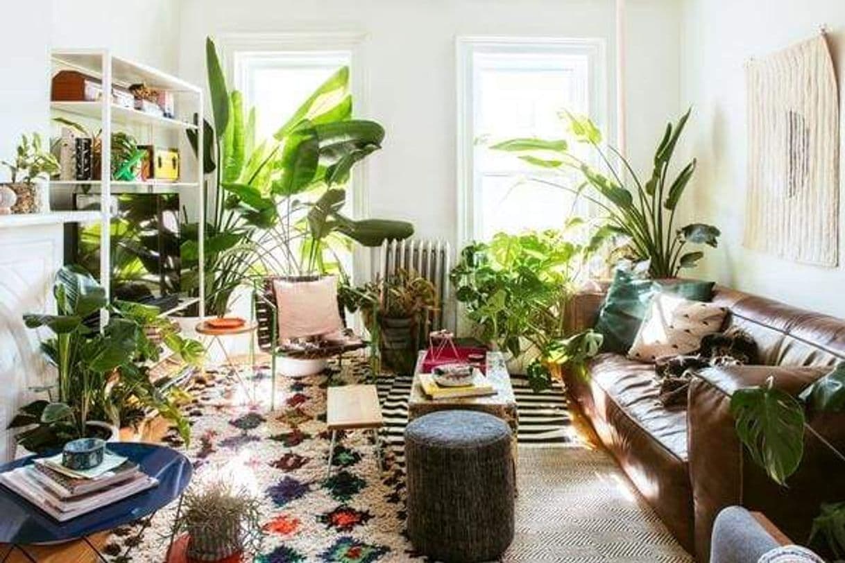 Fashion Urban jungle decor