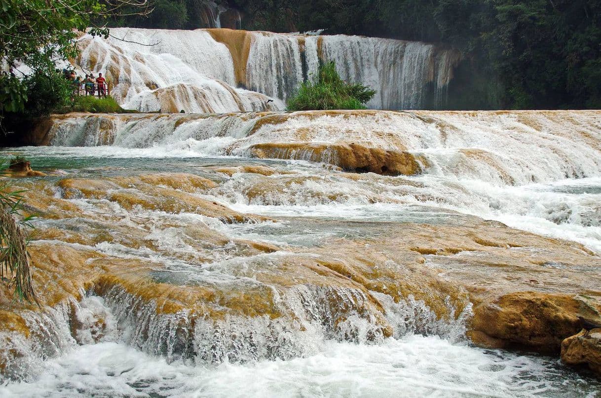 Place Agua Azul