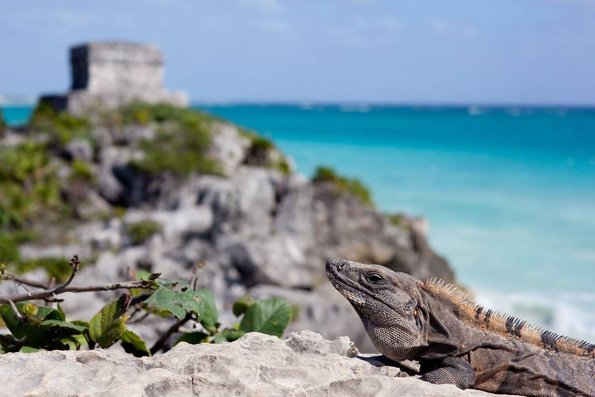 Place Tulum