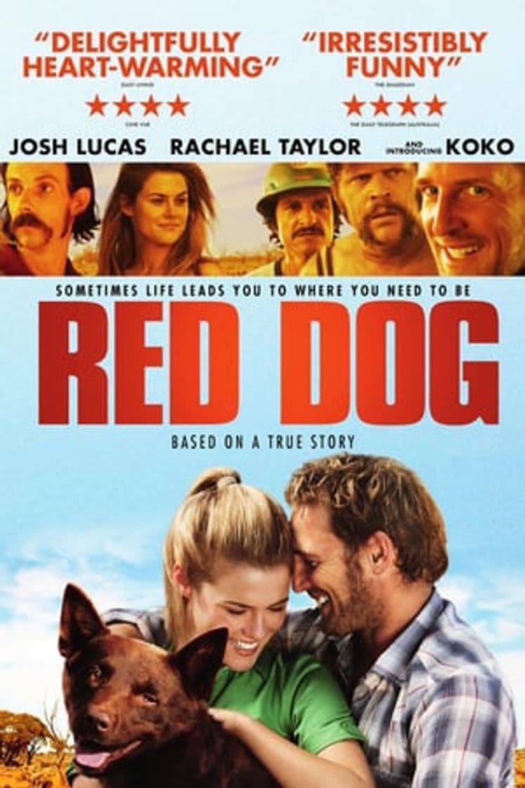 Película Red Dog