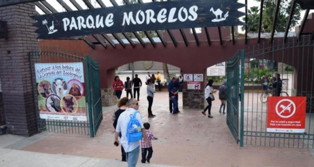 Place Aviario del Parque Morelos