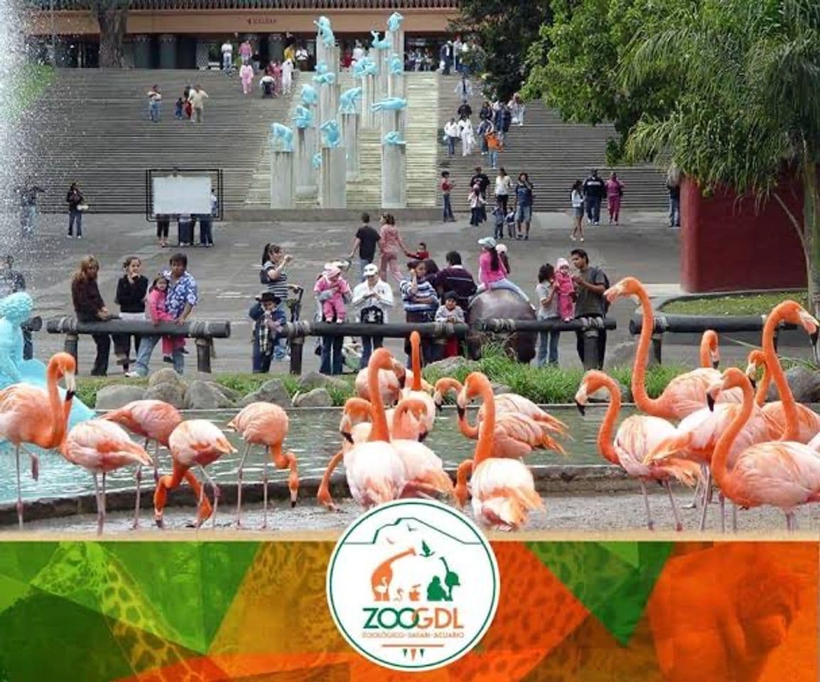 Lugar Zoológico Guadalajara