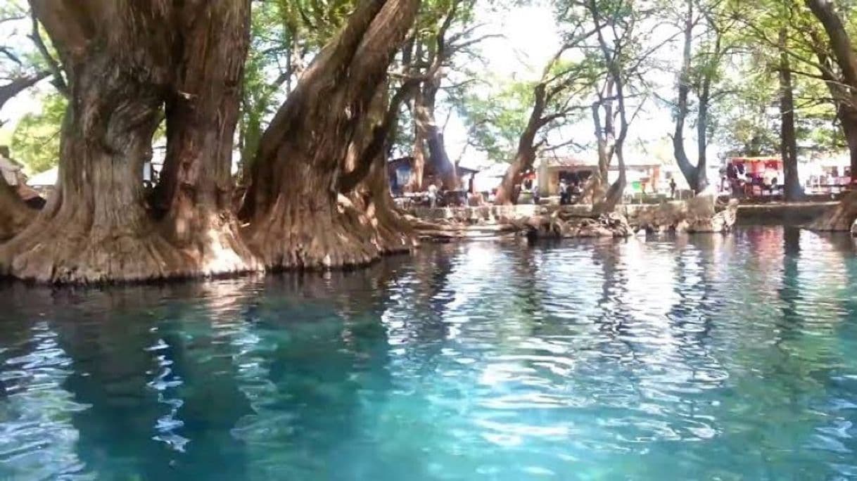 Lugar Lago de Camécuaro