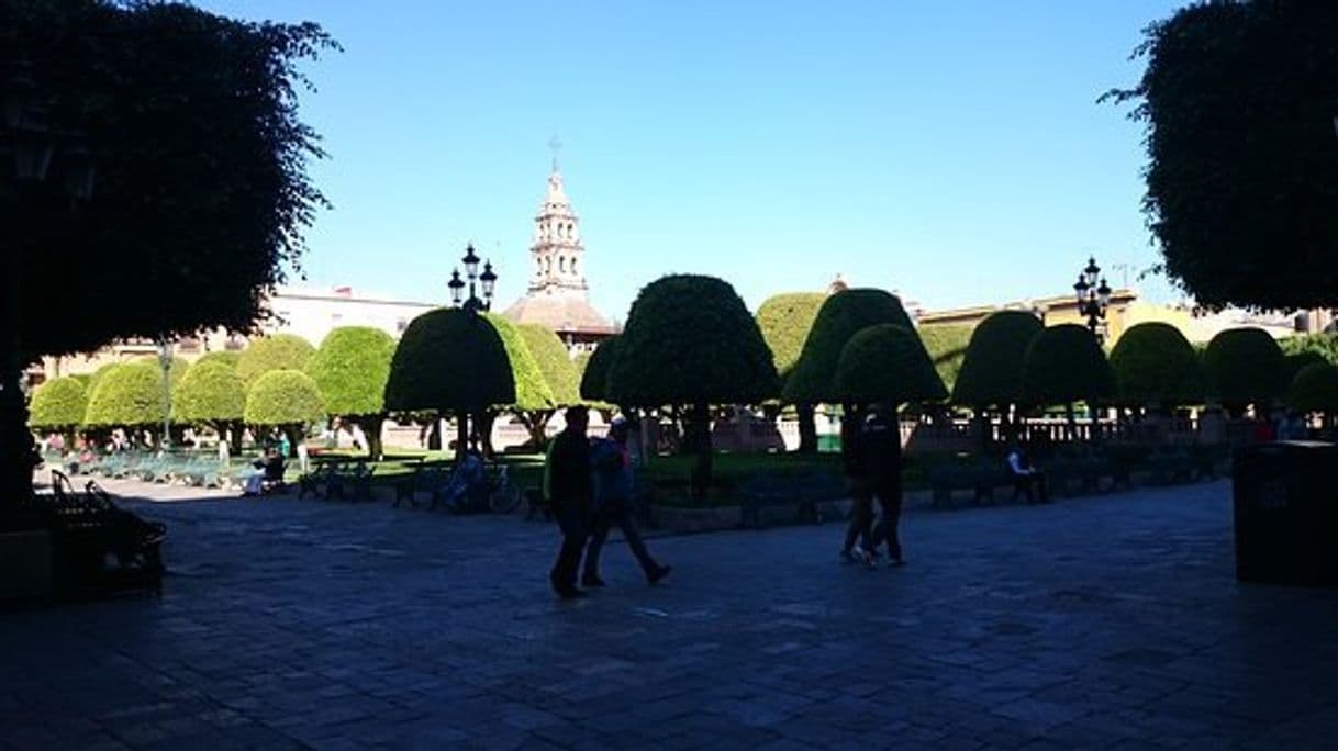 Lugar Plaza Principal