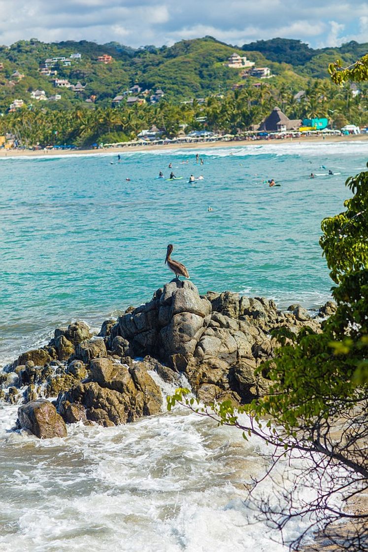 Place Sayulita