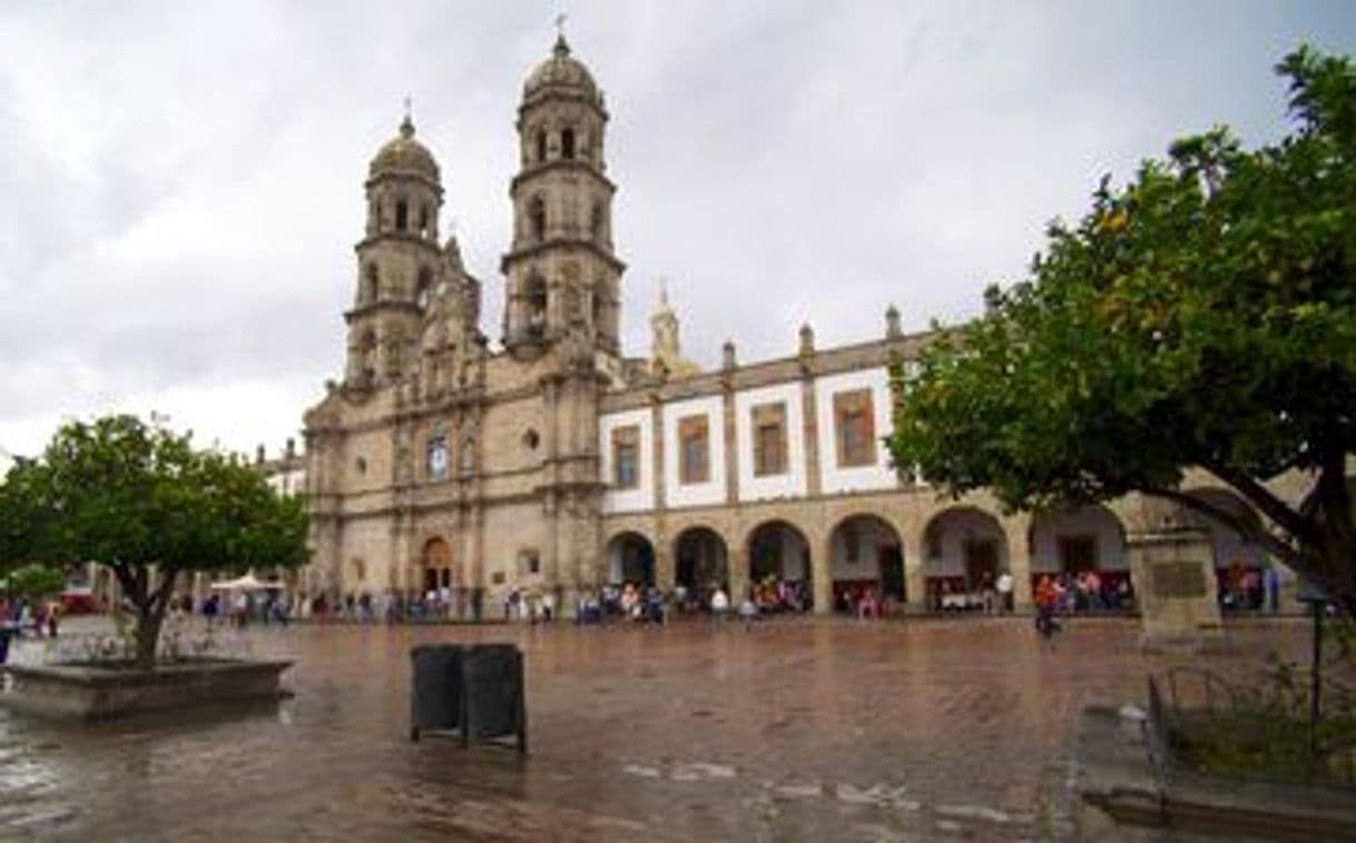 Place Zapopan