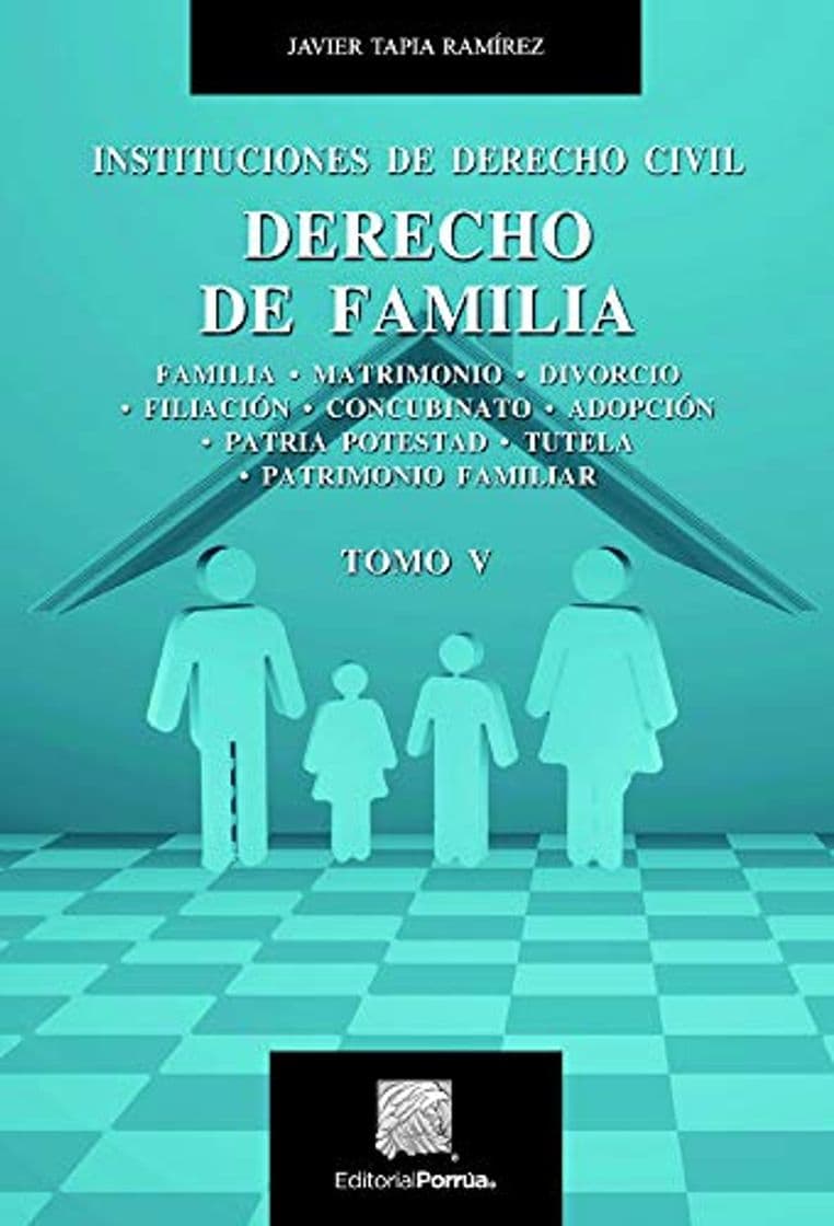 Book Derecho de familia Tomo V