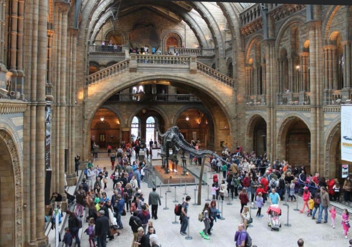 Place Natural History Museum