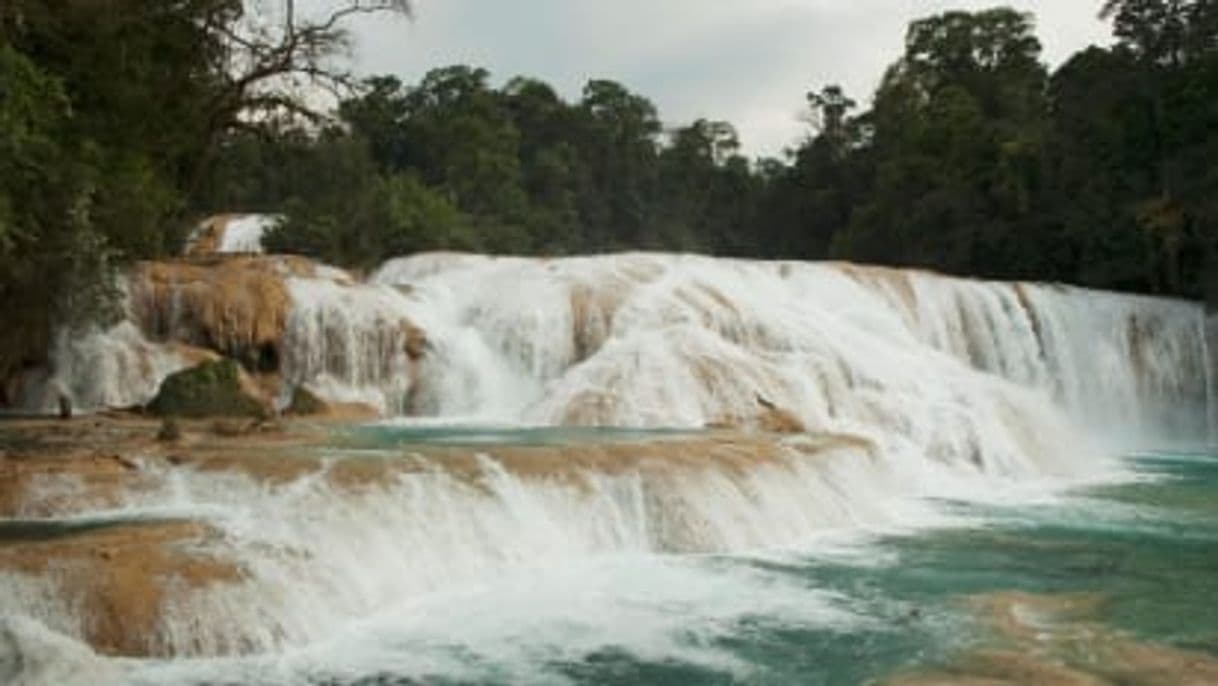 Lugar Cascadas De Agua Azul Chiapas