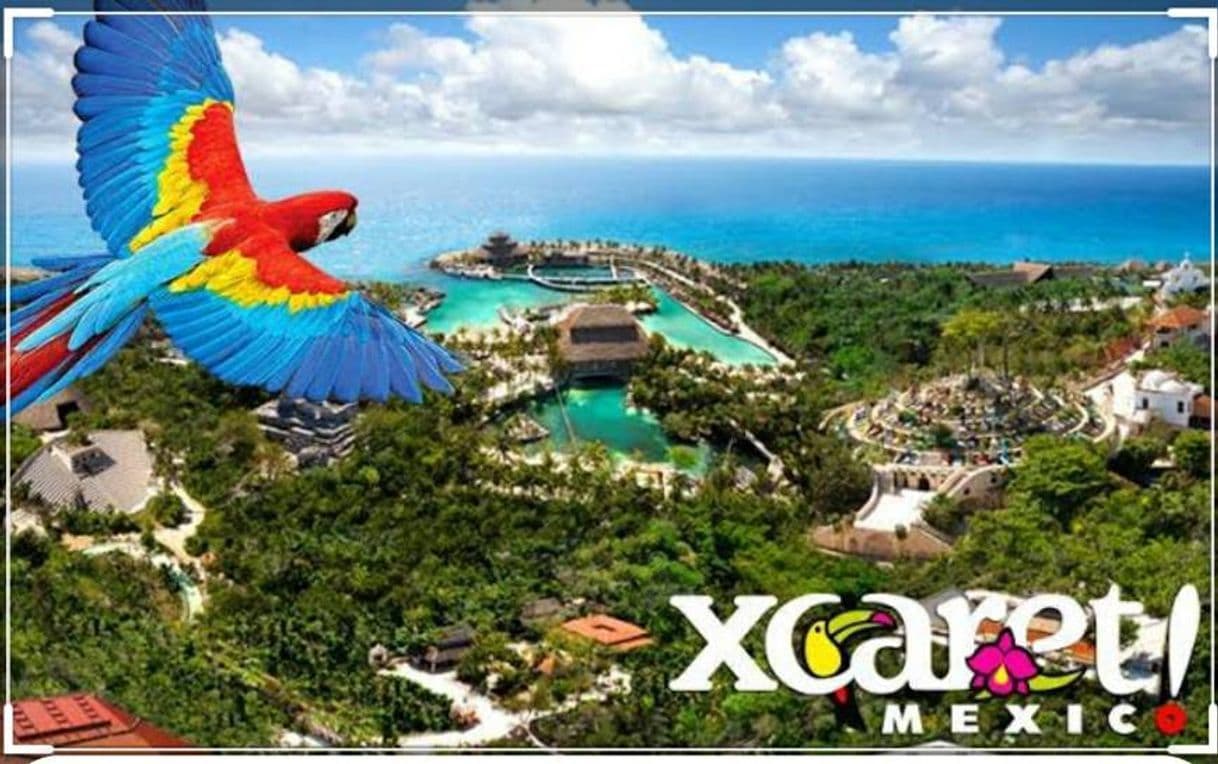 Place XCARET