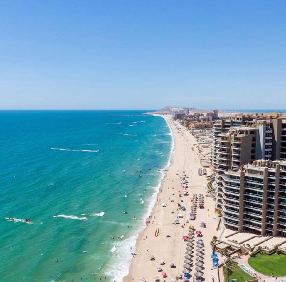 Restaurantes Puerto Peñasco