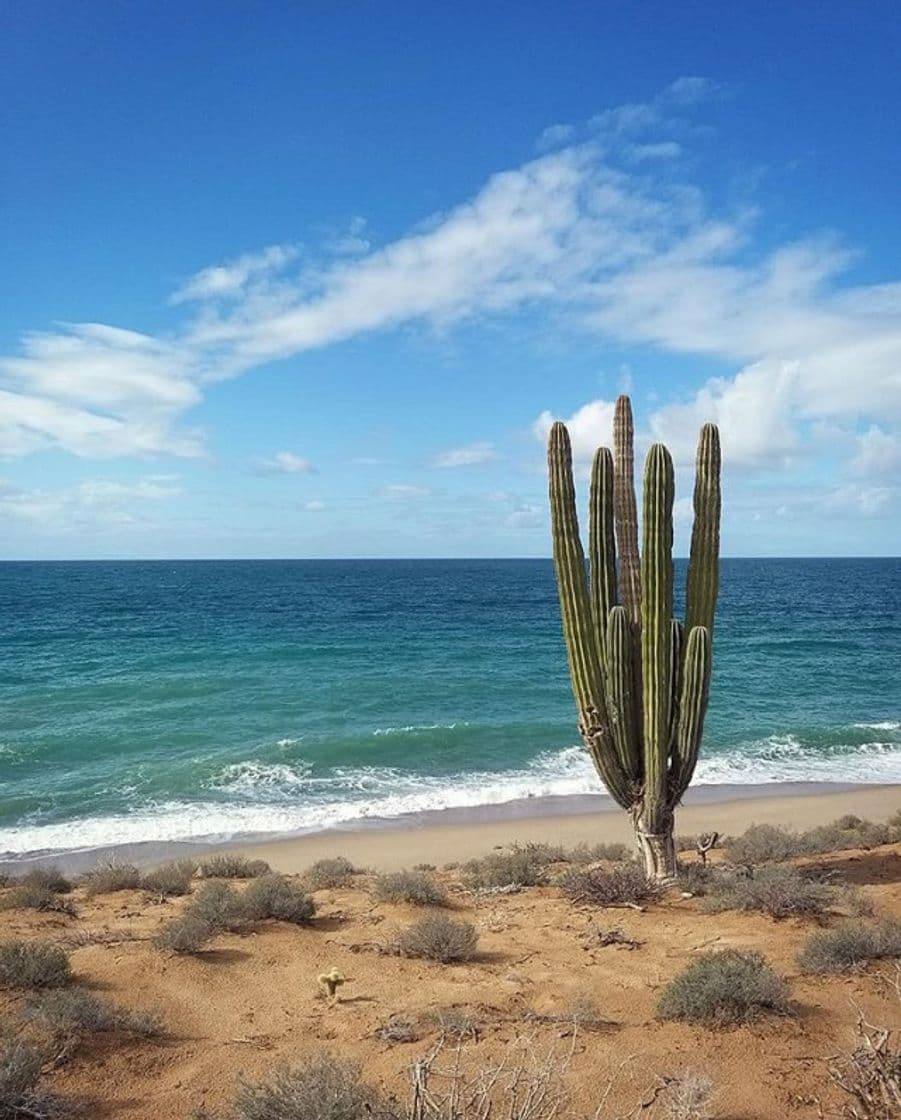 Lugar Puerto Libertad