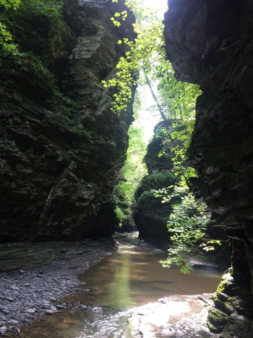 Place Watkins Glen State Park