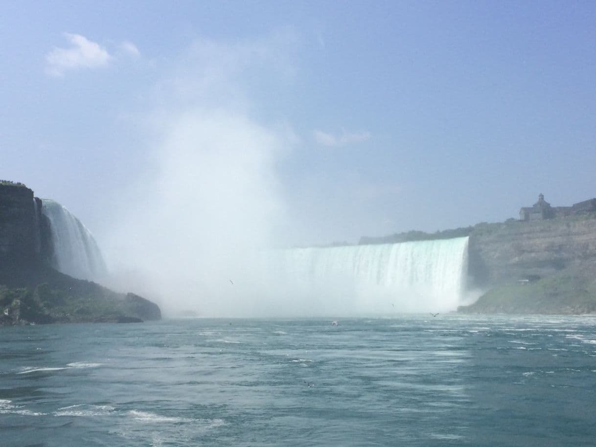 Place Niagara Falls State Park