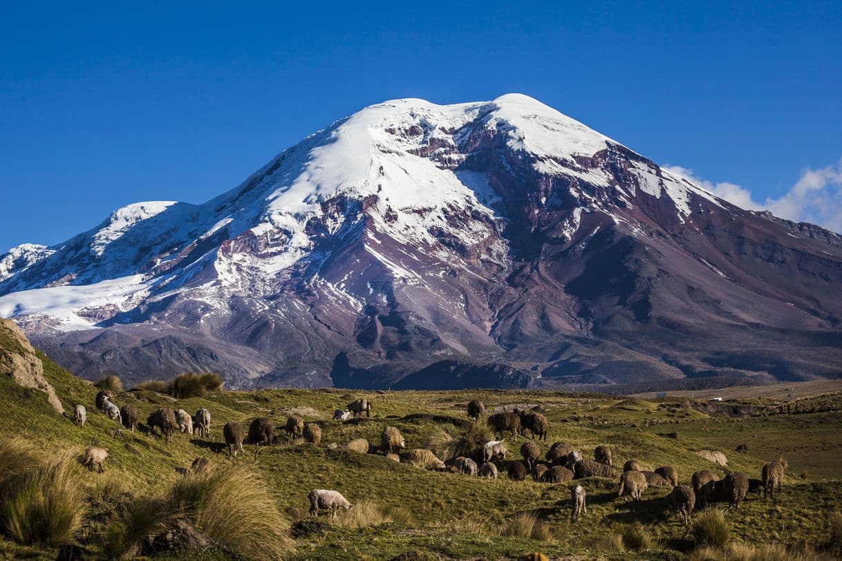 Place Chimborazo