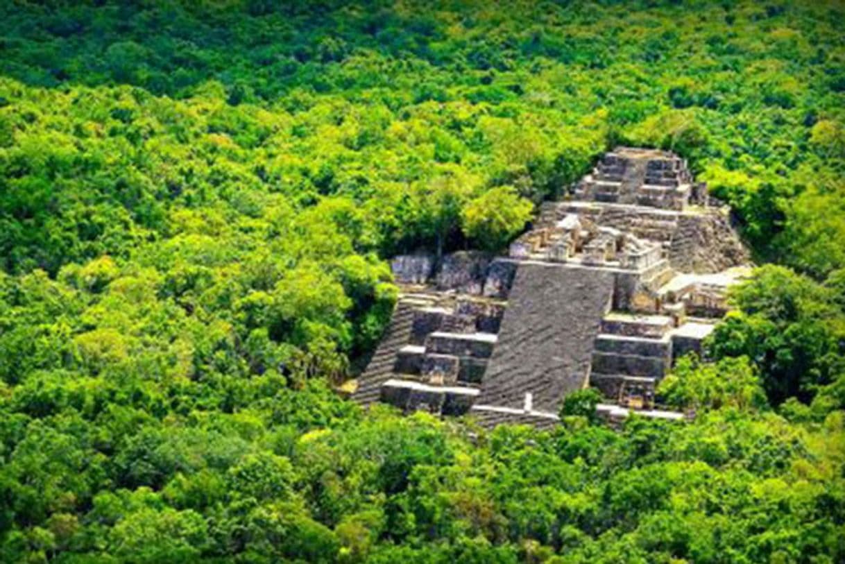 Lugar Reserva de la Biosfera Calakmul