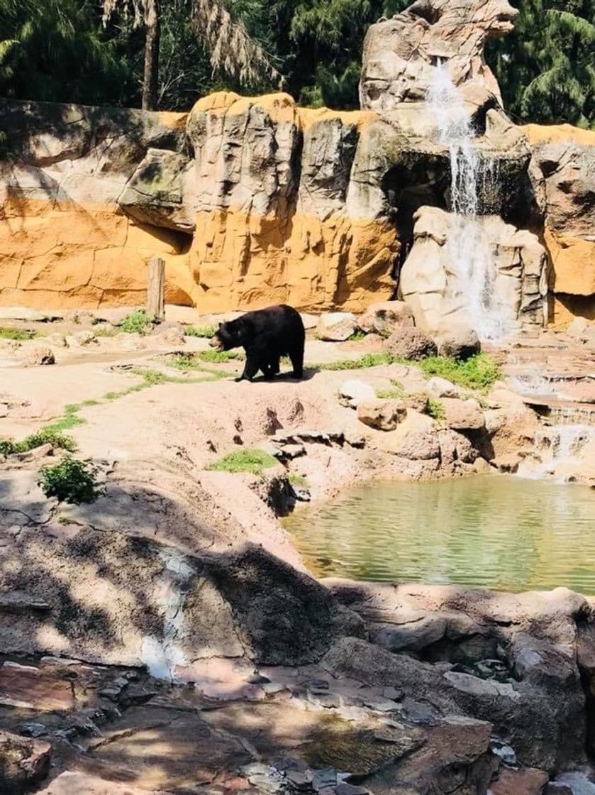 Lugar Zoológico de León