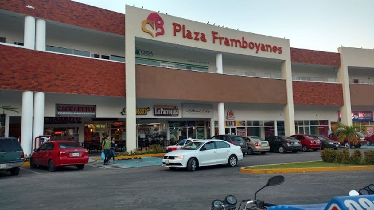 Restaurantes DOMINO'S PLAZA FRAMBOYANES