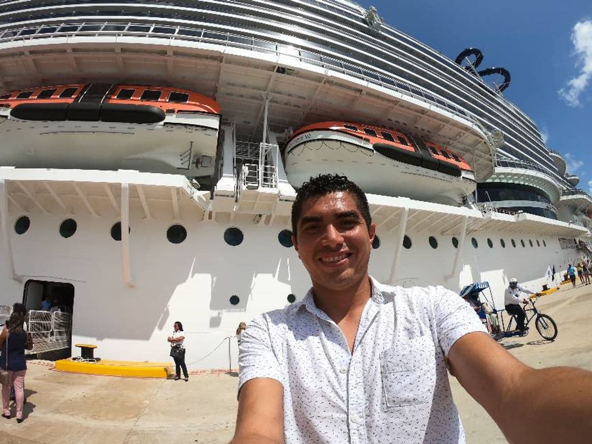 Place MSC Cruceros