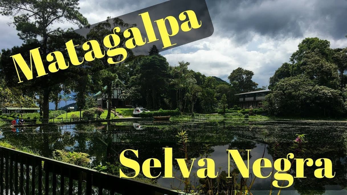 Place Selva Negra