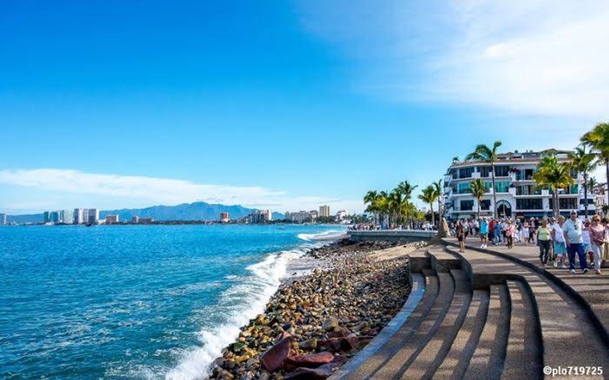 Place Puerto Vallarta