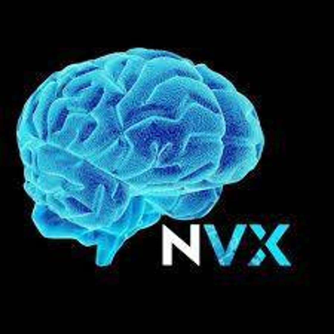 Serie NeuroVox - YouTube