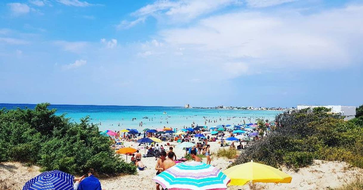 Restaurants Porto Cesareo