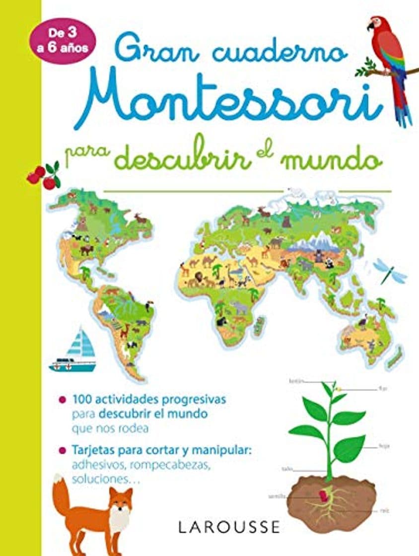 Libro Gran cuaderno Montessori para descubrir el mundo