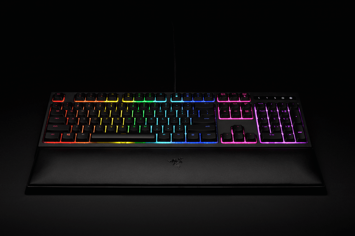 Electronic Razer Ornata Chroma