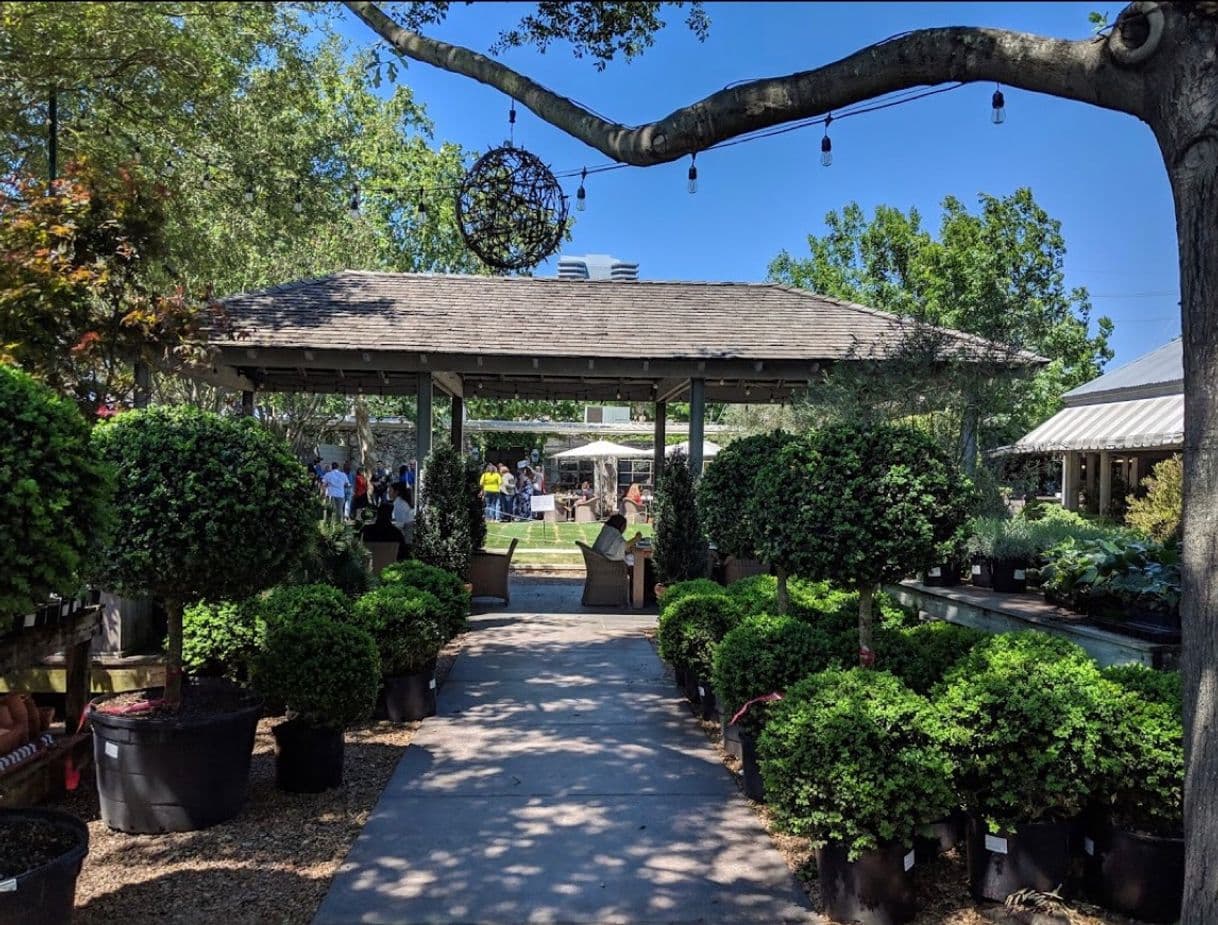 Restaurants Tiny Boxwoods