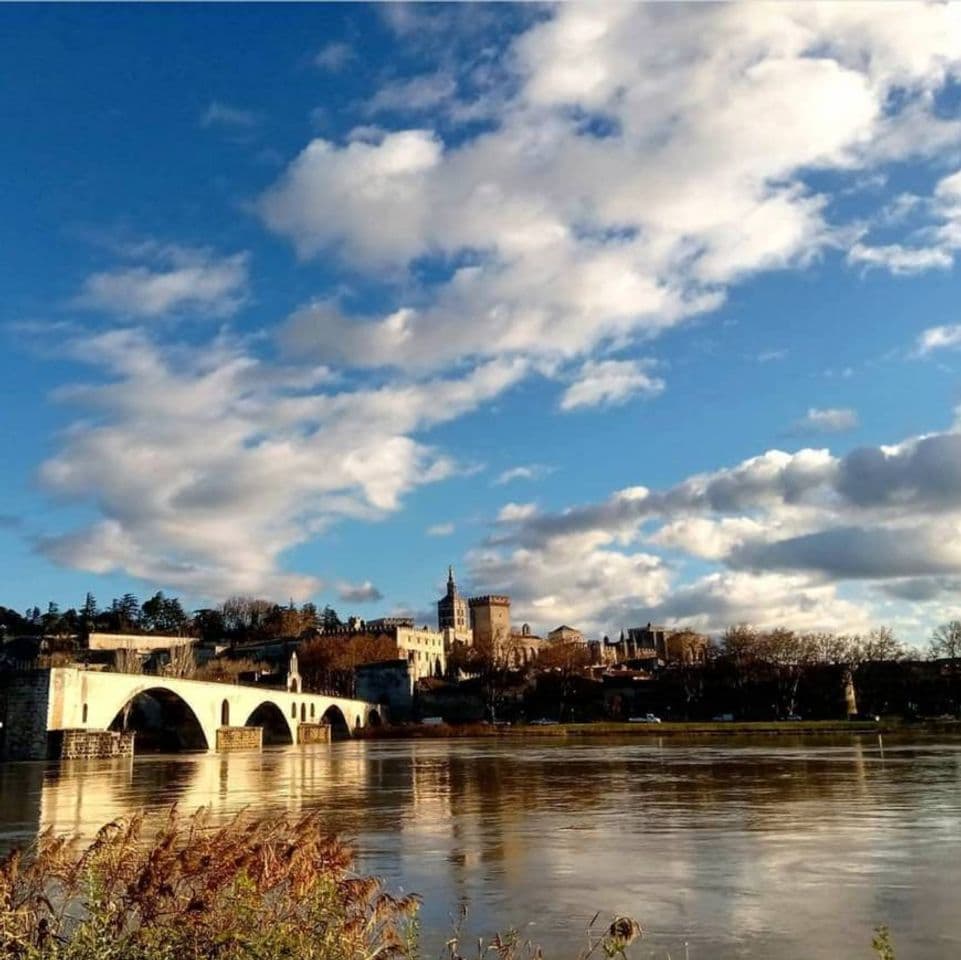 Place Pont d'Avignon