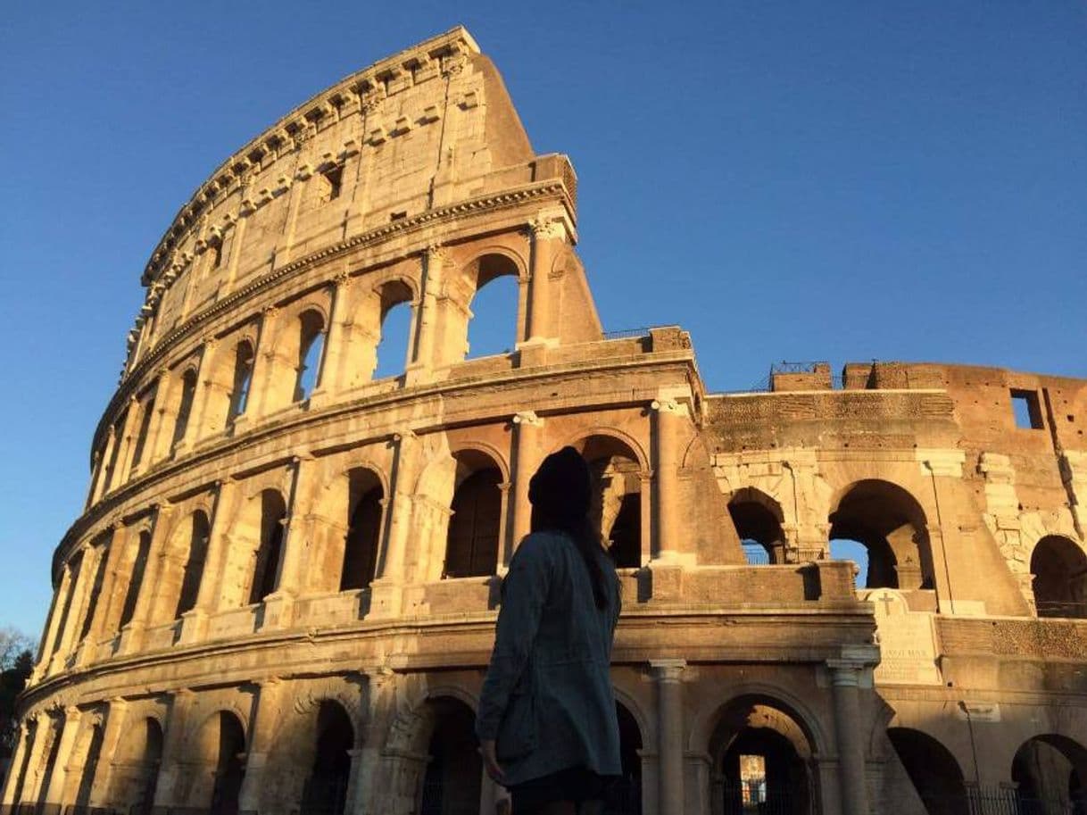 Lugar Coliseo de Roma