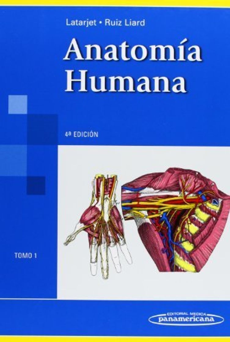 Book Anatomia humana / Human Anatomy