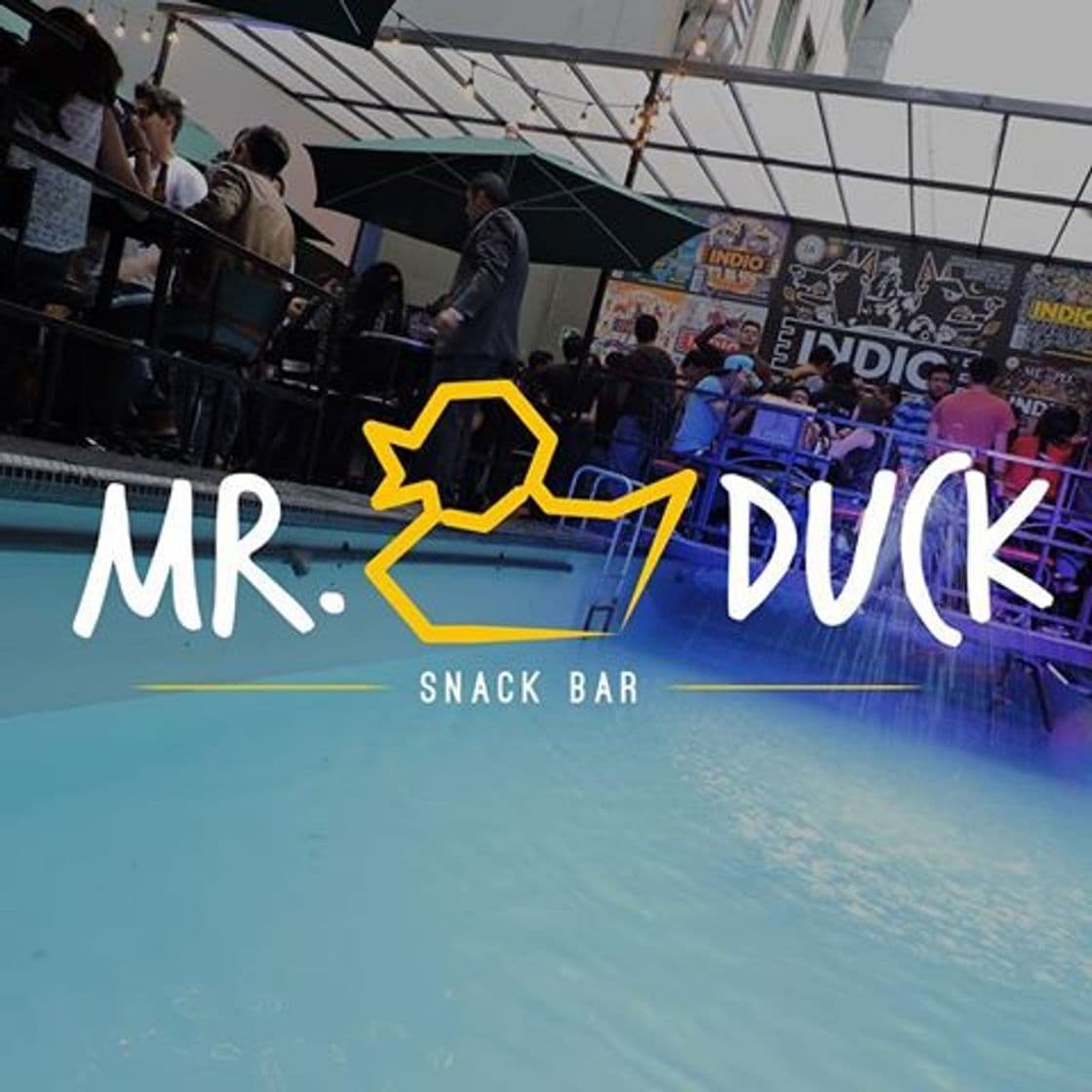 Lugar Mr. Duck