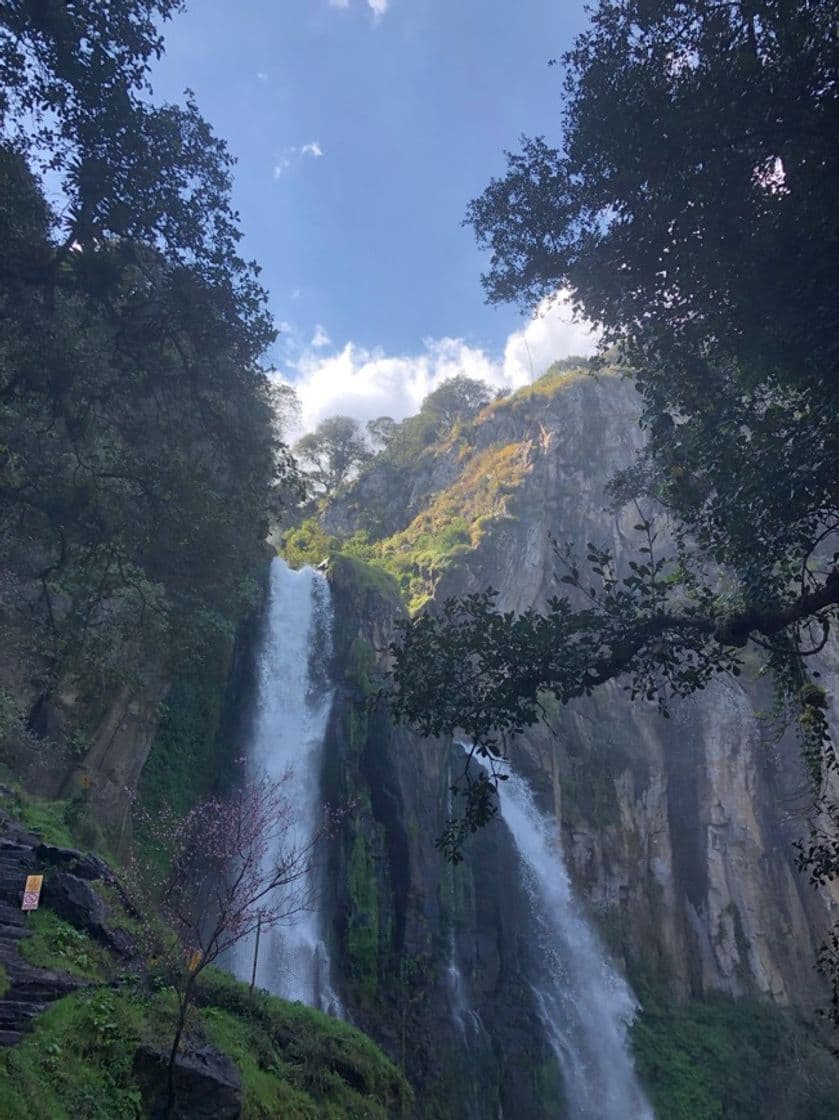 Place Cascadas Salto de Quetzalapan