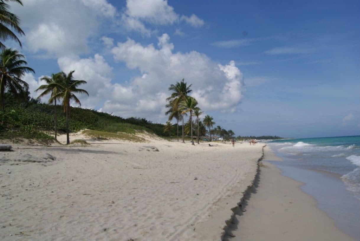 Lugar Playas del este