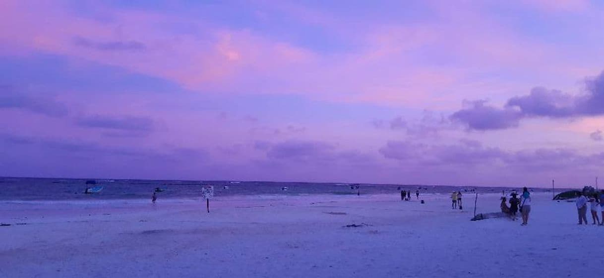 Place Tulum Beach