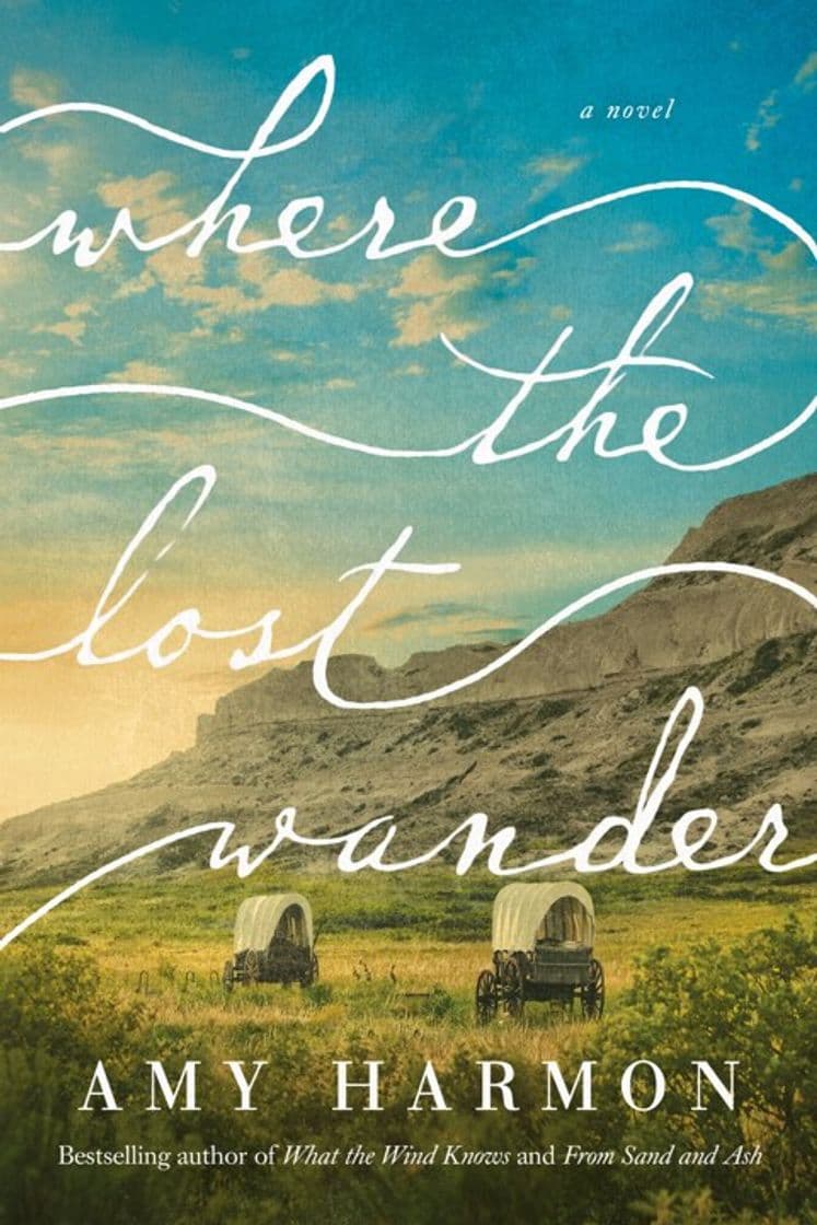 Book Where the lost wander: A novel