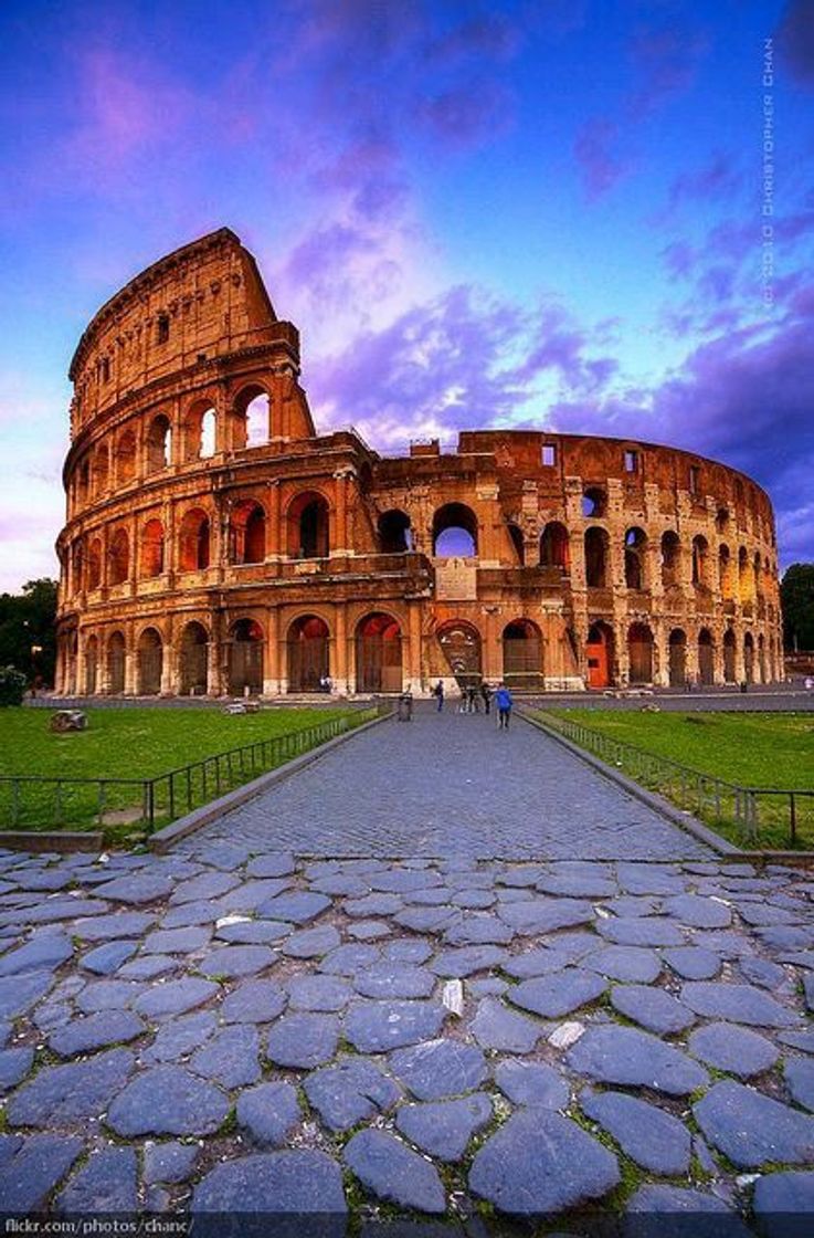 Lugar Coliseo de Roma