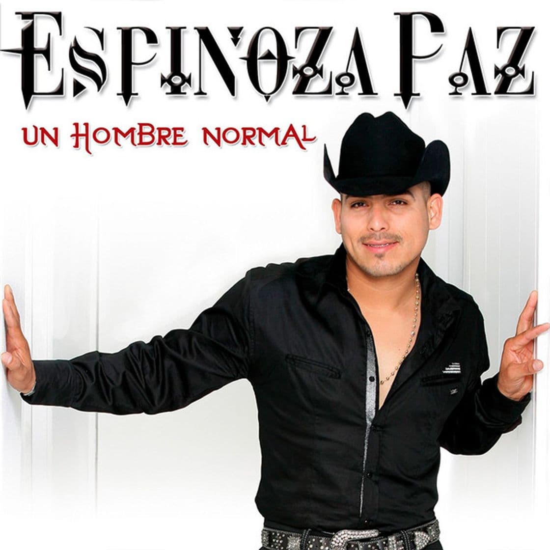 Canción Un Hombre Normal