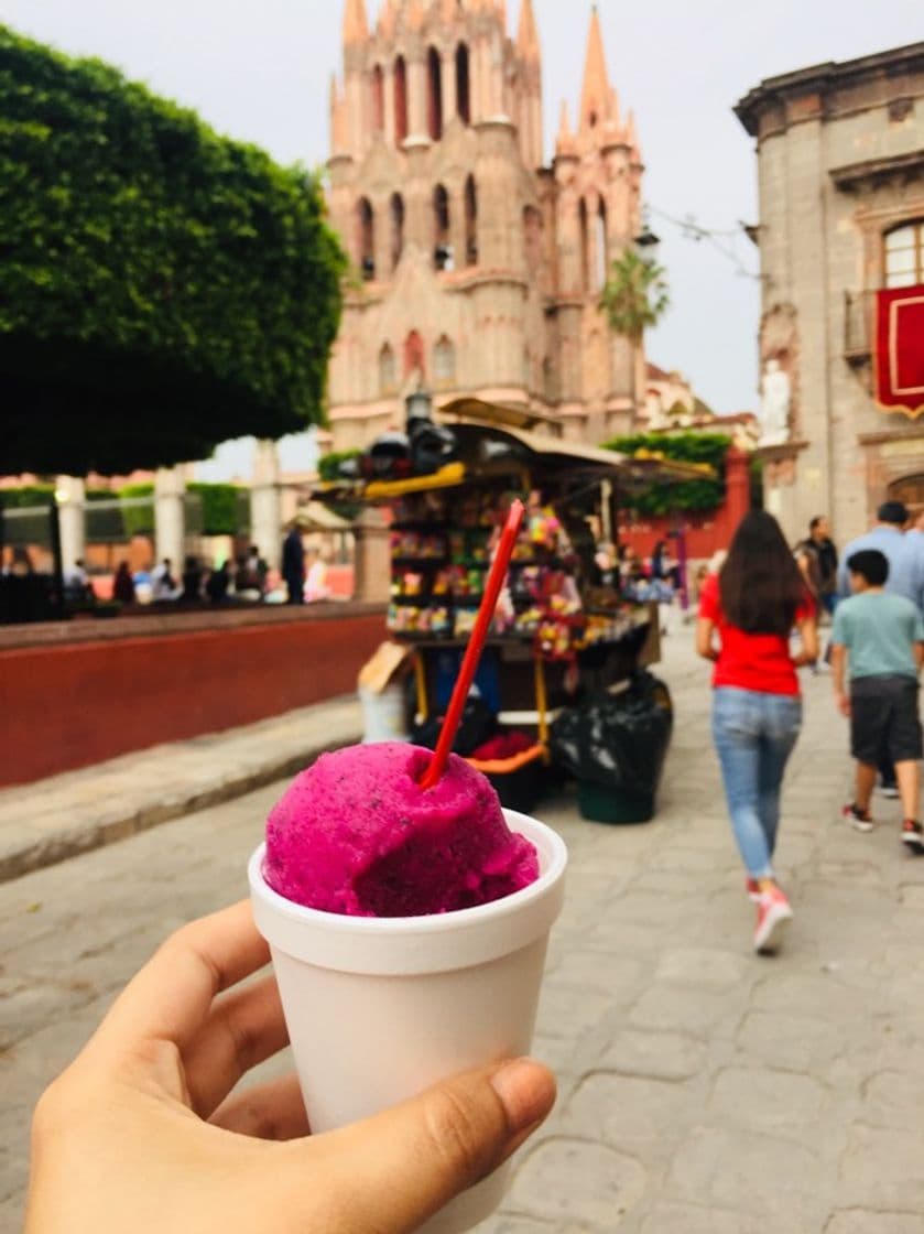 Place San Miguel de Allende