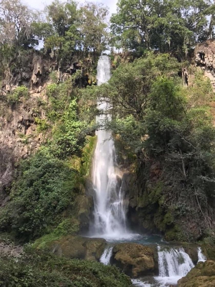 Lugar Cascada el Aguacate