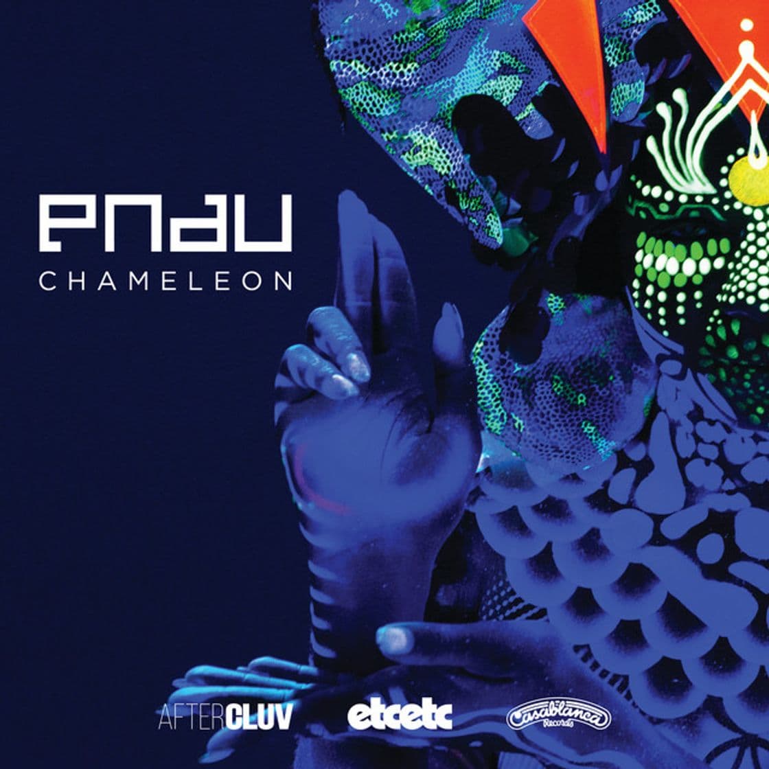 Music Chameleon