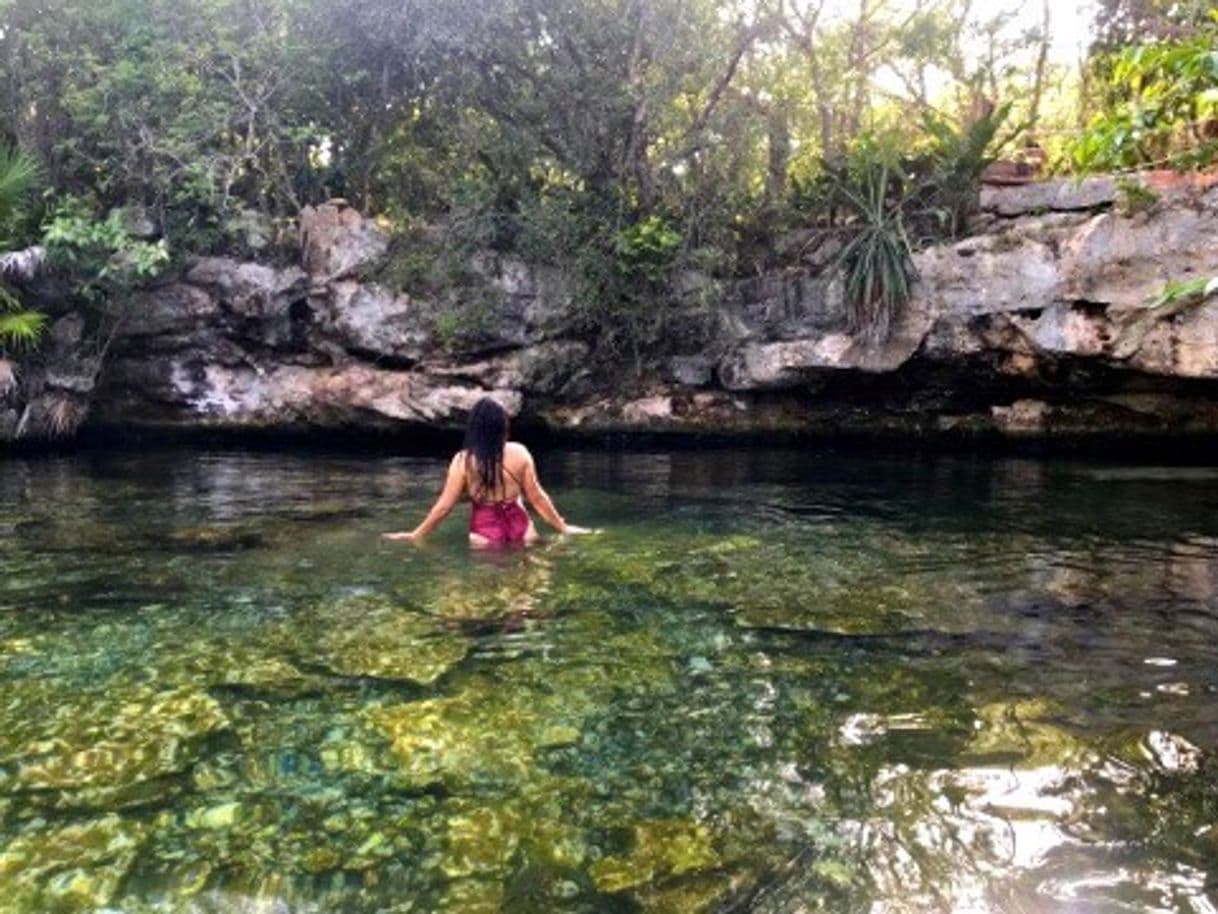 Place Cenote Jardin El Eden