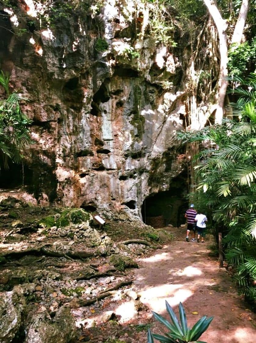 Place Grutas de Loltún